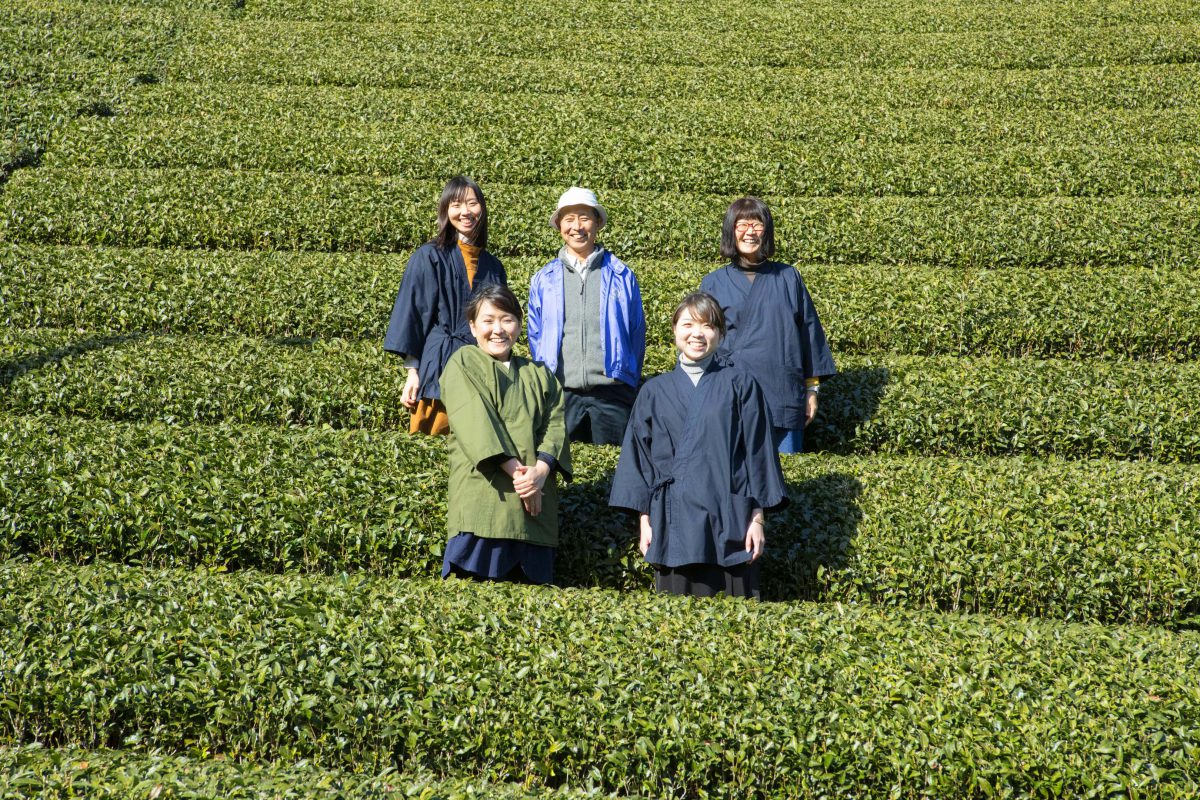 静岡茶ガールプロジェクト/ 静岡茶の希少茶品種を集めたティーバッグ